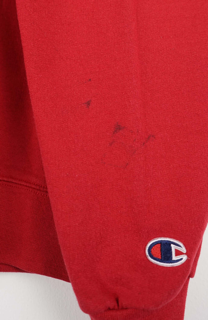 VINTAGE CHAMPION SWEATER (L)