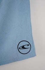 VINTAGE O'NEILL BOARD SHORTS W29