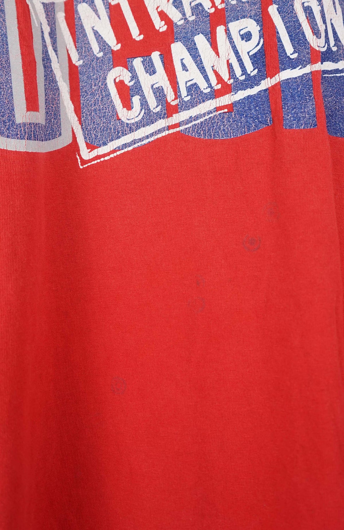 VINTAGE NIKE UCON CHAMPION T-SHIRT (XL)