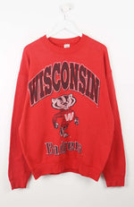 VINTAGE WISCONSIN SWEATER (XL)