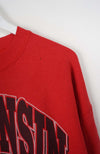 VINTAGE WISCONSIN SWEATER (XL)