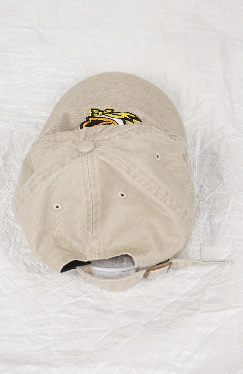 VINTAGE OREGON DUCKS HAT