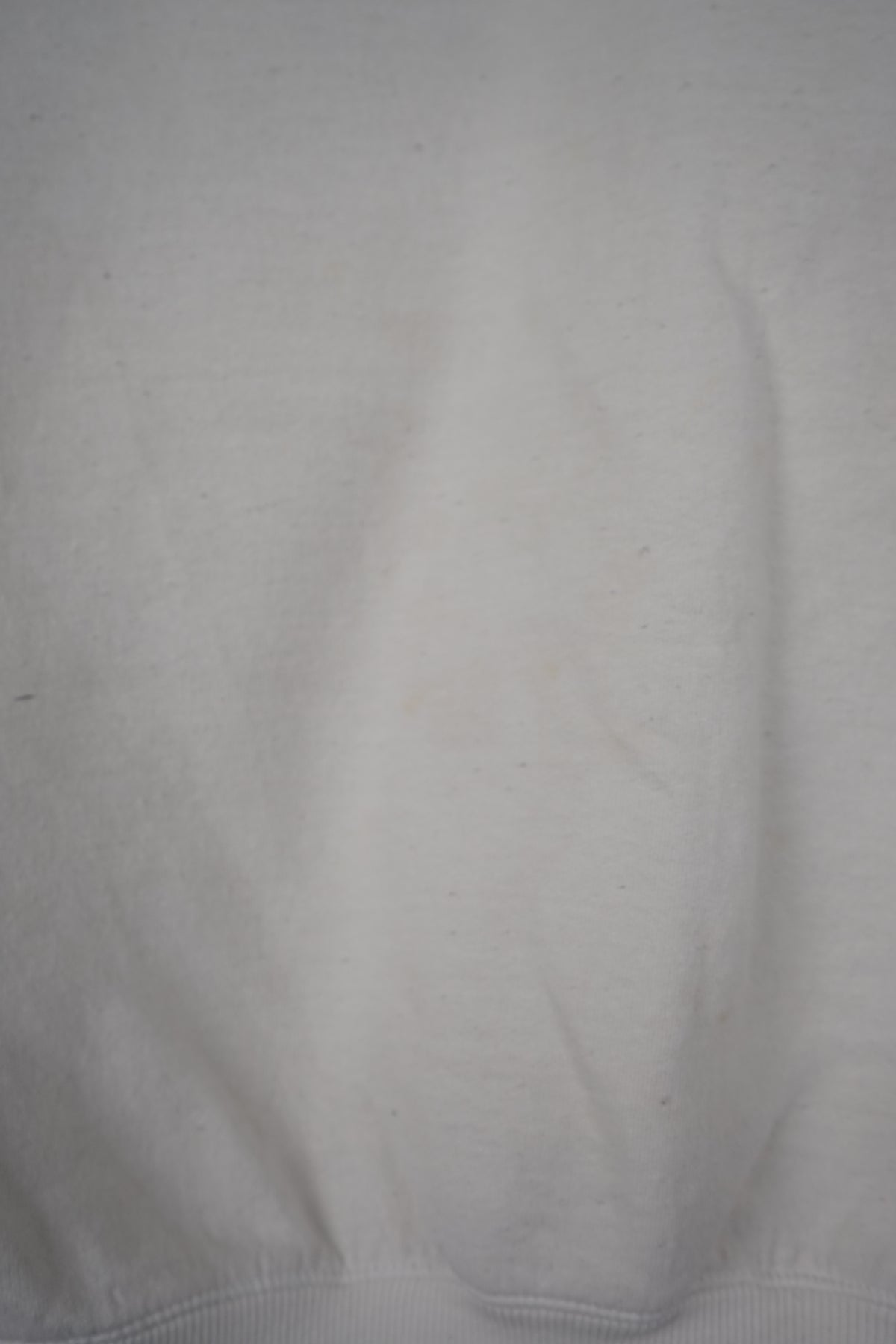 VINTAGE CHAMPION SWEATER (L)