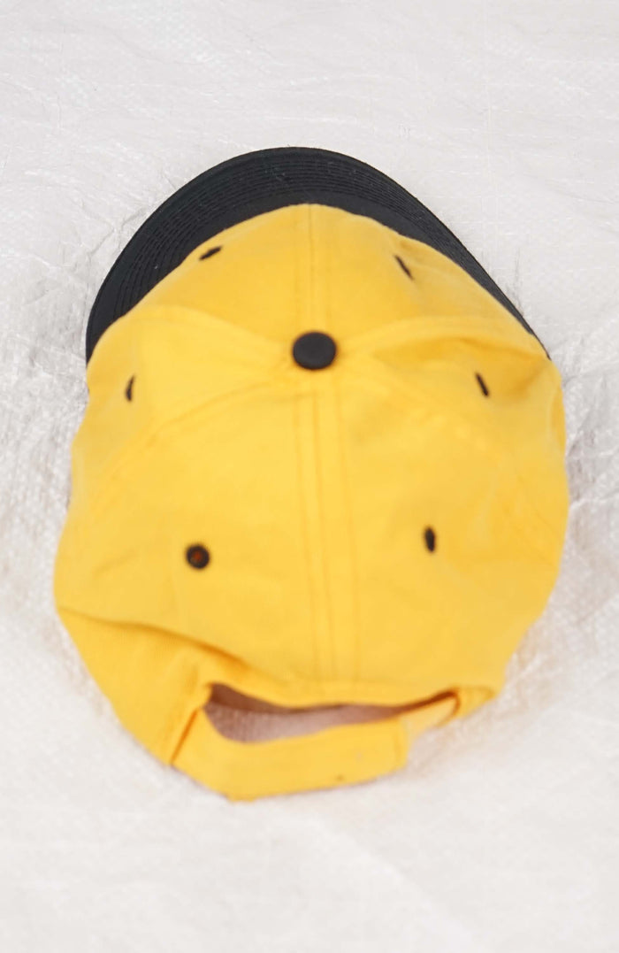 VINTAGE CAT HAT