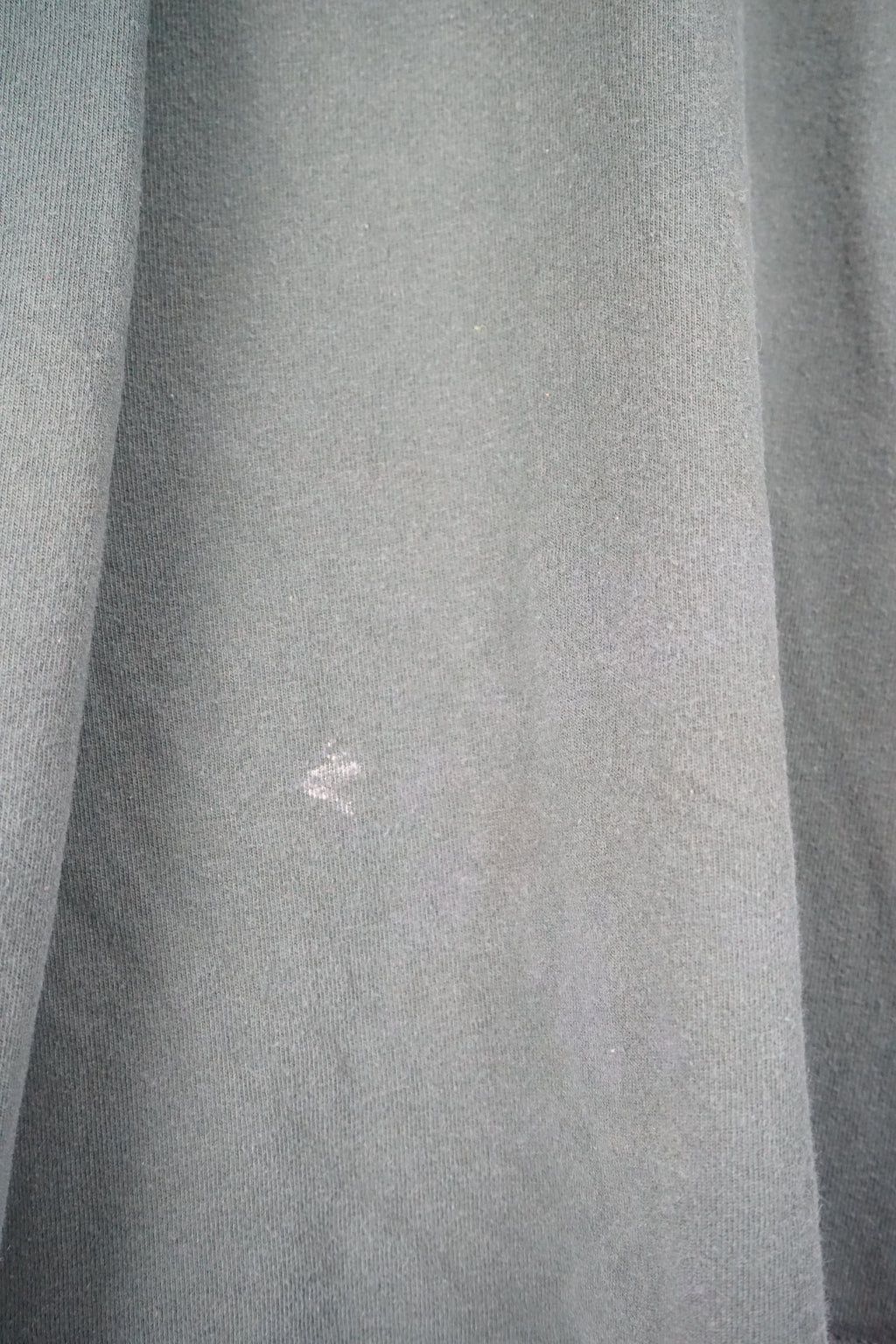 Green long-sleeve shirt with 'OREGON' text and Champion logo on a white background