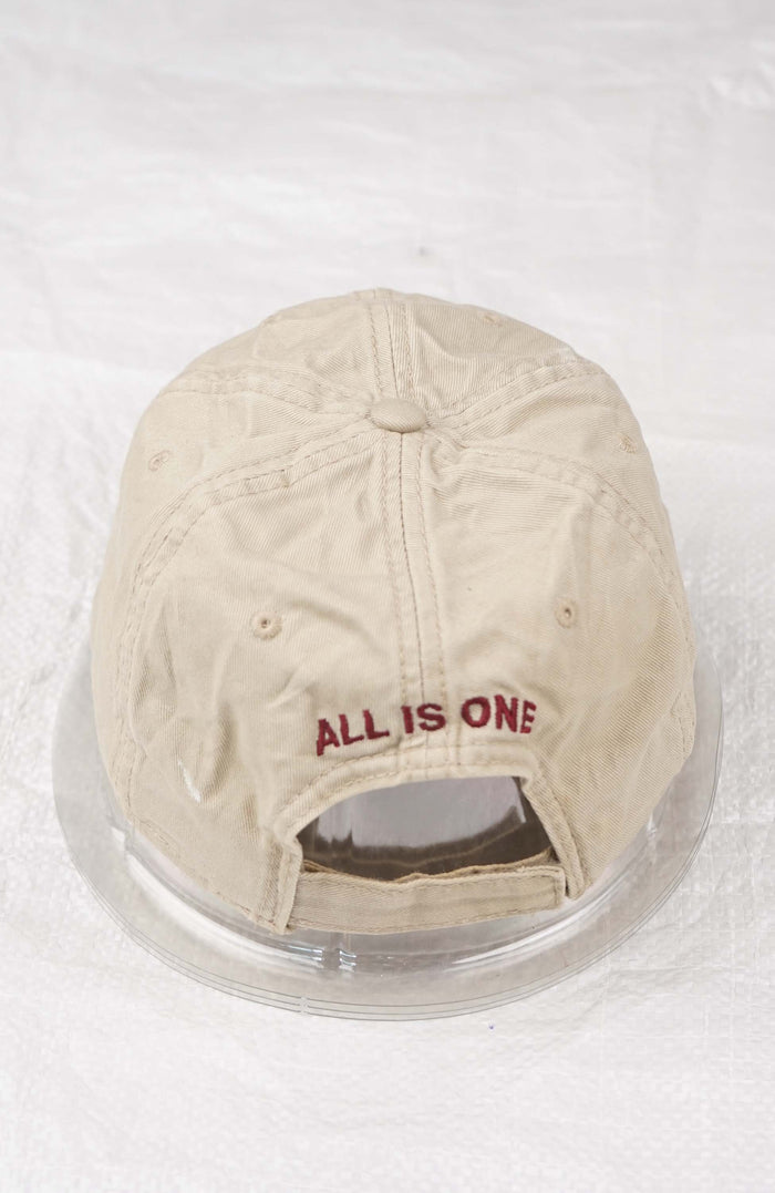 VINTAGE HARD ROCK CAFE DETROIT HAT