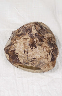 VINTAGE REDHEAD REAL TREE HAT
