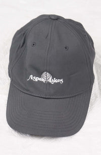 VINTAGE NIKE ASPEN LAKES HAT