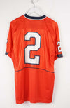 VINTAGE NFL NIKE ILLINOIS STATE JERSEY (M)