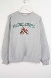 Gray sweatshirt with 'Phoenix Coyotes' text and logo on a white background