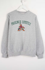 Gray sweatshirt with 'Phoenix Coyotes' text and logo on a white background